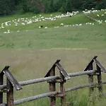 Gorska Magia - Goralskie Premium Kościelisko
